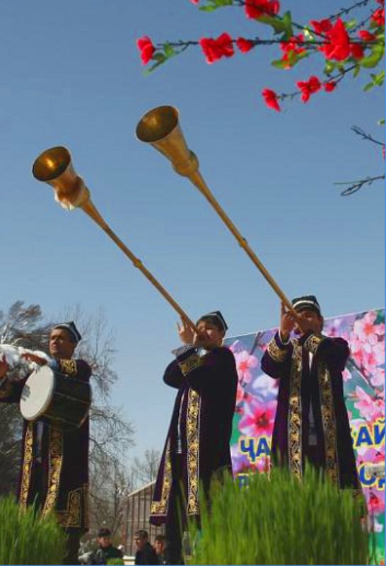 13hlopok